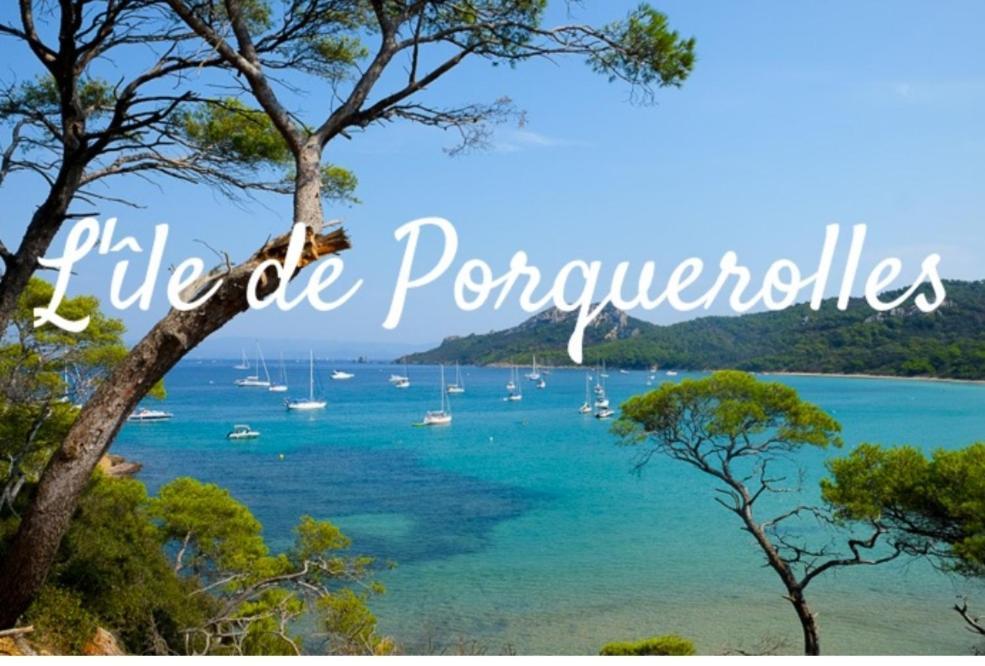 Le Terra-Cota 3 Ch Privees 10' Gare-Port Et Plage, Wfi, Cosy 土伦 外观 照片